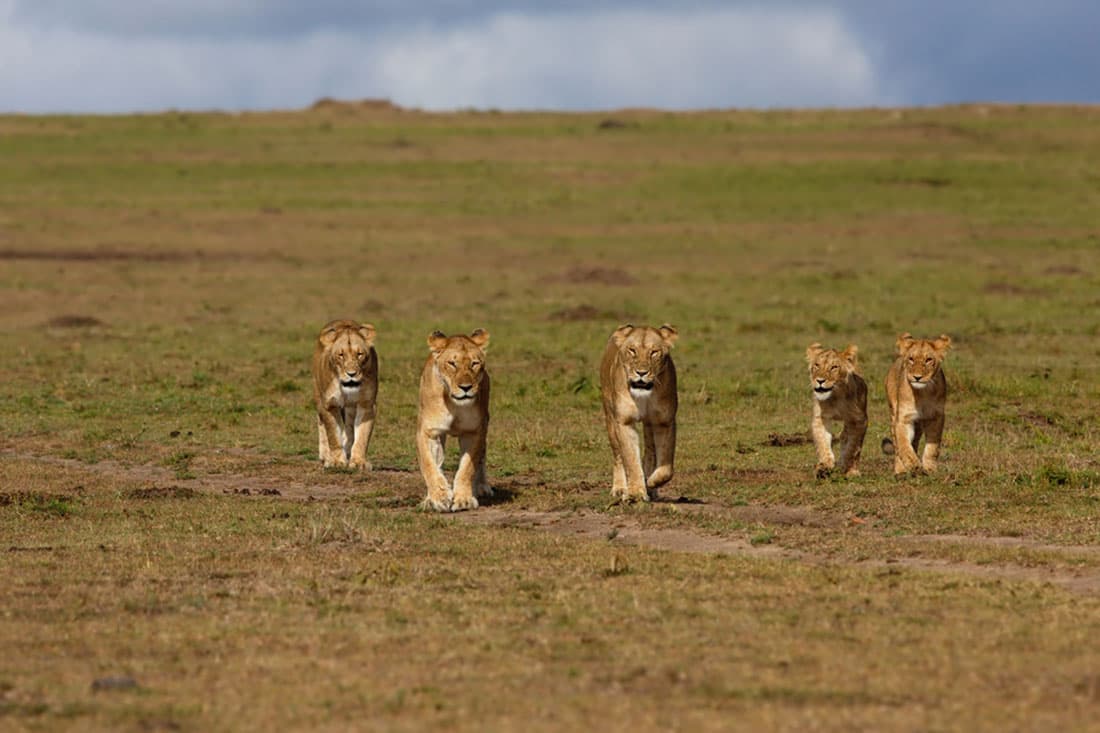 The Biggest Challenge You’ll Face as a Leader